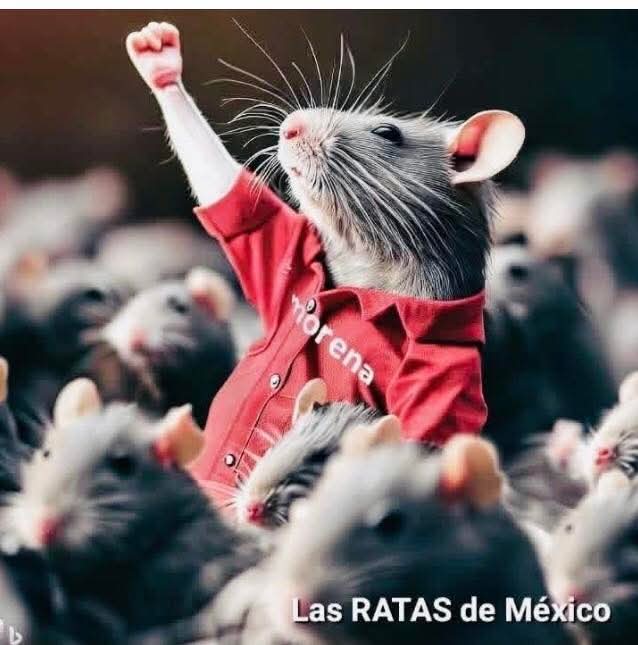 orvitus's tweet photo. @PartidoMorenaMx https://t.co/DGEz93Ene3