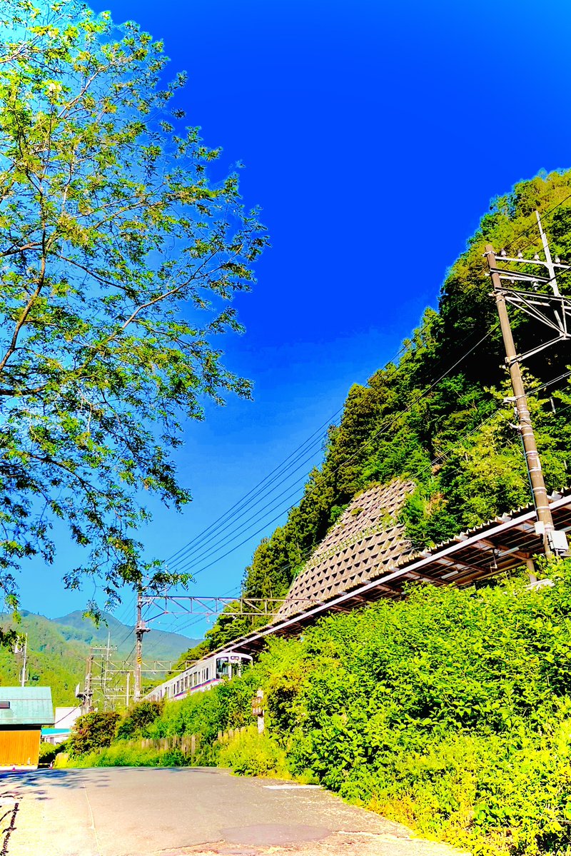 johnfinalnote's tweet photo. あら〜💦

撮ろうとしたら、
　行っちゃった〜😭

のどかな山あい🏔️✨

次の電車🚃
　早く来ないかなぁ🌈

#芦ヶ久保駅
#横瀬町 https://t.co/Pkc1On90k8