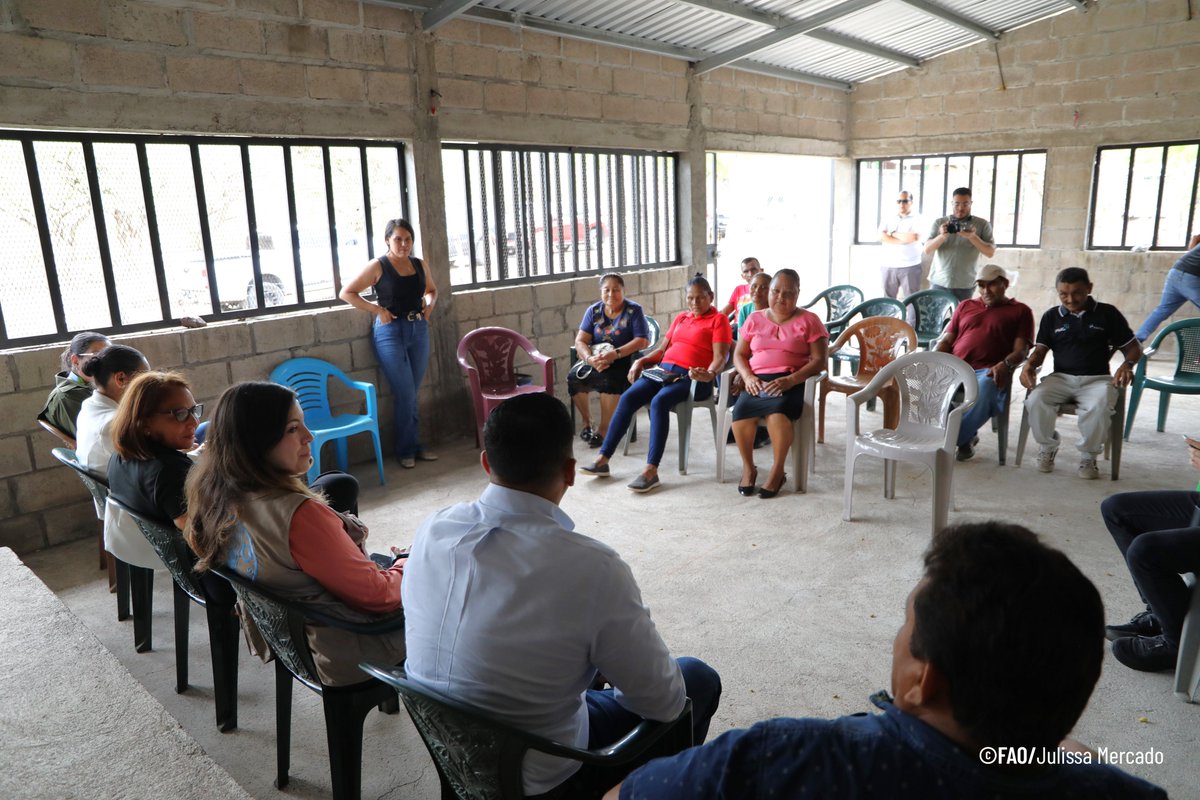 FAOHonduras's tweet photo. 📍Pespire
Visitamos la Caja Rural de Ahorro y Crédito Catrachos en El Chaparral. Con casi 20 años de existencia la caja recibe apoyo económico del Centro Financiero para el Desarrollo MANORCHO, con ello las familias pueden cultivar y comercializar maíz, sorgo, sandía, entre otros https://t.co/jrLFydjwB8
