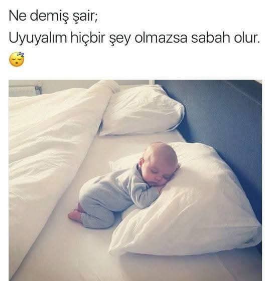 btldiner's tweet photo. @doktorkafali https://t.co/hCLxDz5QSQ