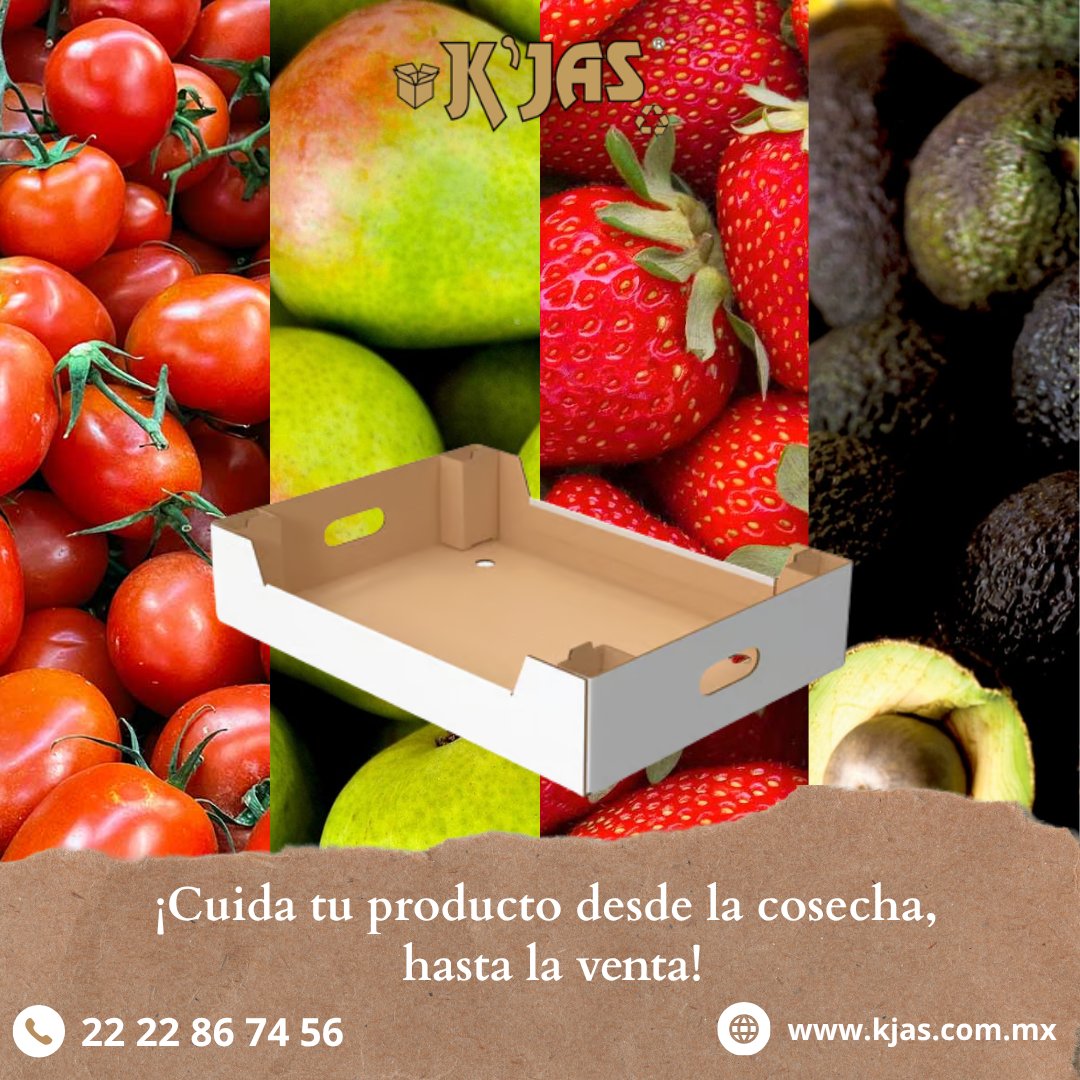 KjasTepsa's tweet photo. Desde el primer vistazo, hasta el último detalle: Tu empaque puede ser tu mejor herramienta. Deja que hable por ti. 📷📷

Cotiza con nosotros y dale a tus clientes una experiencia única.
📷 221 105 0881
📷 https://t.co/RhI5LdpL5n

#CajaAgricola #frutas #verduras #frutasyverduras https://t.co/gLvSU5Wwir