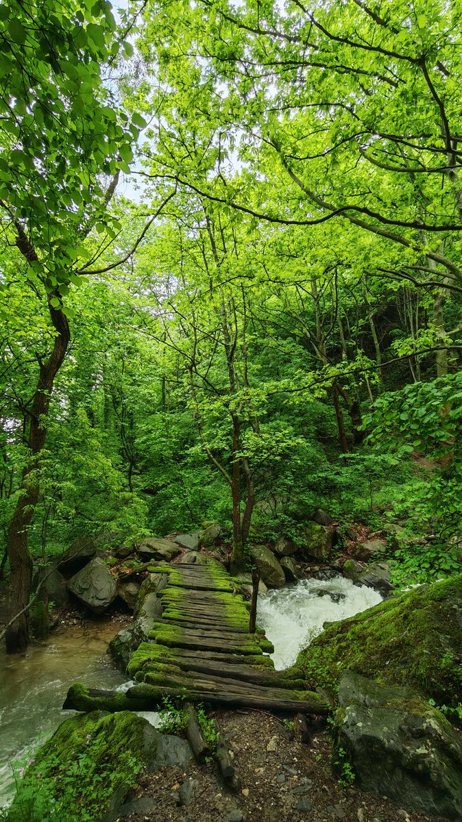 birsakinokur's tweet photo. Doğa iyileştirir..🌿💚
.
.
#doğa #insan #huzur https://t.co/NEwRy6gZO9