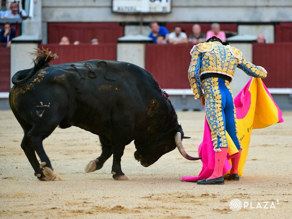 castaybravura's tweet photo. Urdiales ha sorteado el mejor lote. Extraordinario a la verónica toda la tarde, con altibajos en dos faenas que no acabaron de romper, y con una espada impoluta. La torería se impuso a la falta de rotundidad con sus dos toros. https://t.co/ln8m42qoFC