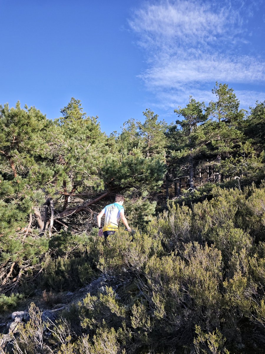 AlFiloInfngible's tweet photo. La golden hour en la Demanda no es cosa menor, dicho de otra forma, es cosa mayor 😅

📍C.N.R. de la Demanda

 #trailruin https://t.co/hNZJP4UjFN