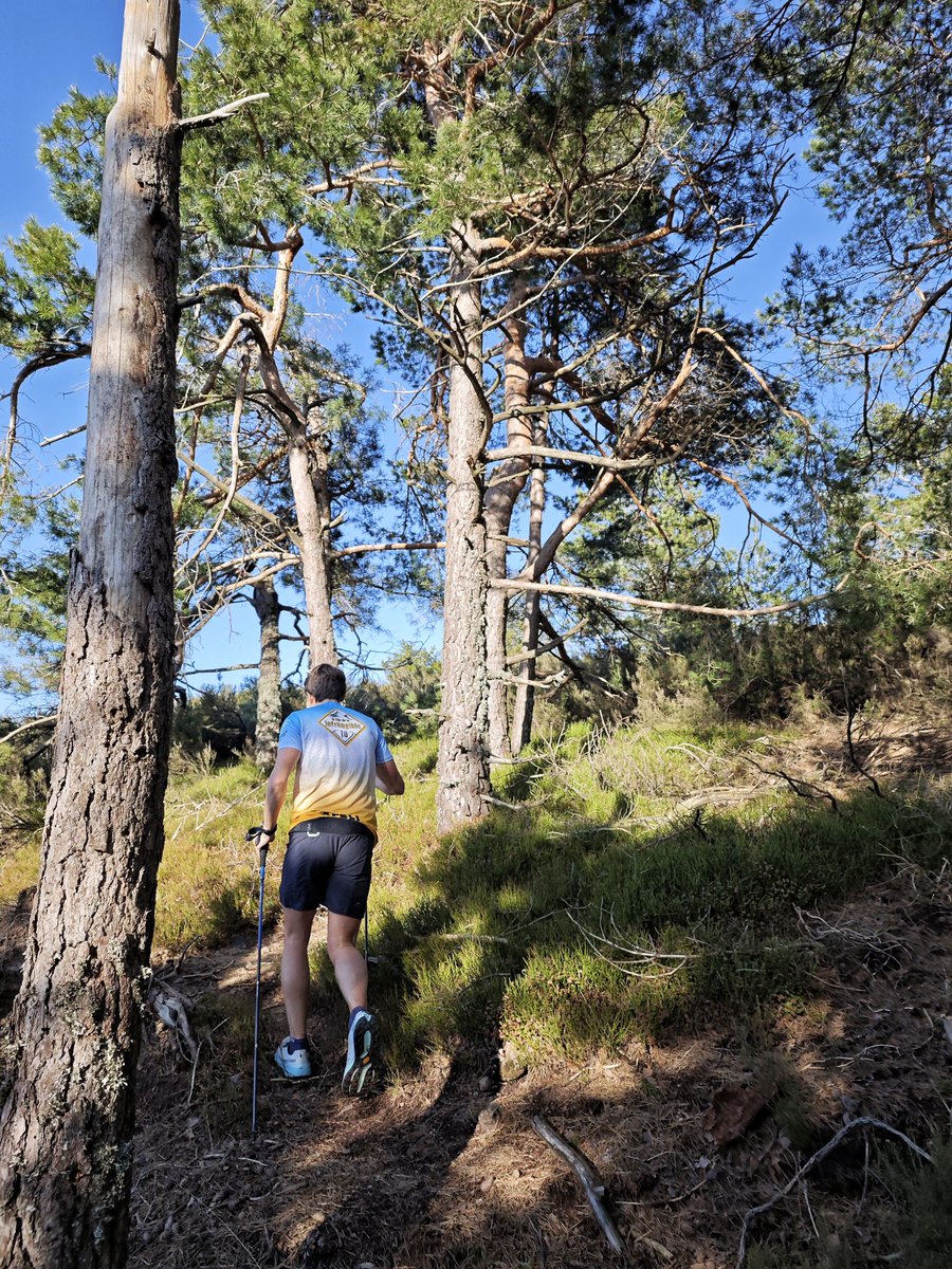 AlFiloInfngible's tweet photo. La golden hour en la Demanda no es cosa menor, dicho de otra forma, es cosa mayor 😅

📍C.N.R. de la Demanda

 #trailruin https://t.co/hNZJP4UjFN