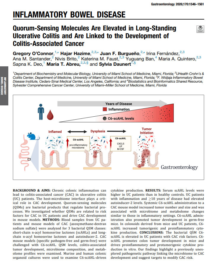 EndoMedChem's tweet photo. As colorectal deaths skyrocket among the youth, researchers are racing against the clock to figure out its cause

One such cause includes the production of metabolites known as quorum sensing molecules (QSMs) elevated in IBD patients &amp; can induce colitis-associated tumorigenesis https://t.co/zTOsaC1Bs1