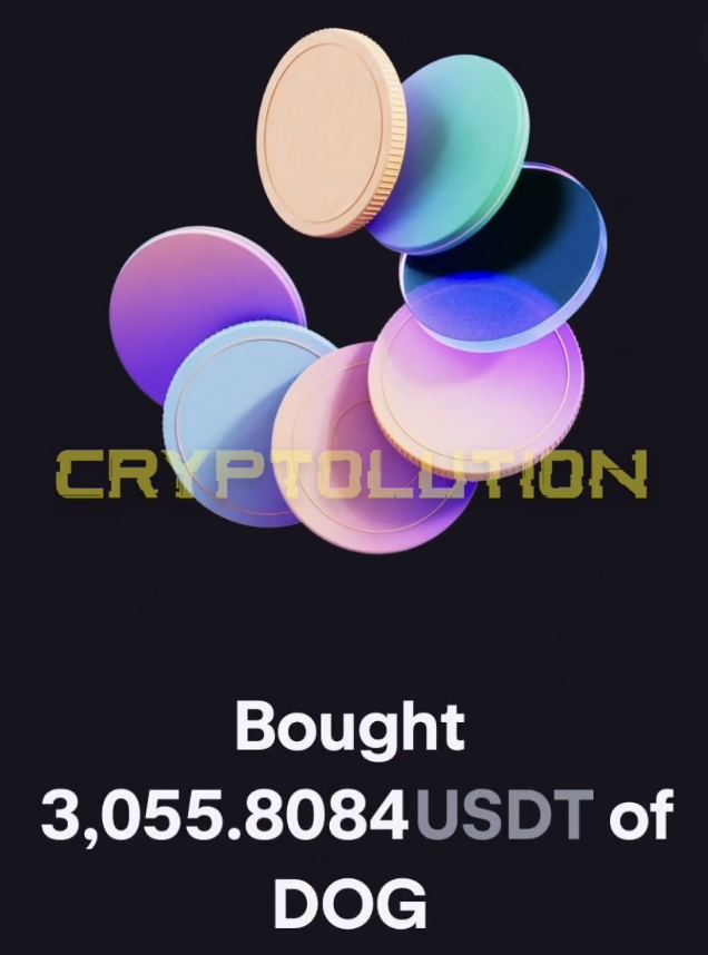 Vincent (Cryptolution) 👑 tweet media