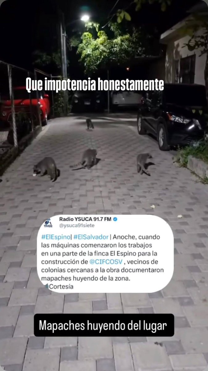 disaster_queen7's tweet photo. @ObrasPublicasSV Colonia los mapaches o que ondas si según ustedes esa zona está urbanizada https://t.co/59xpIRwt8f