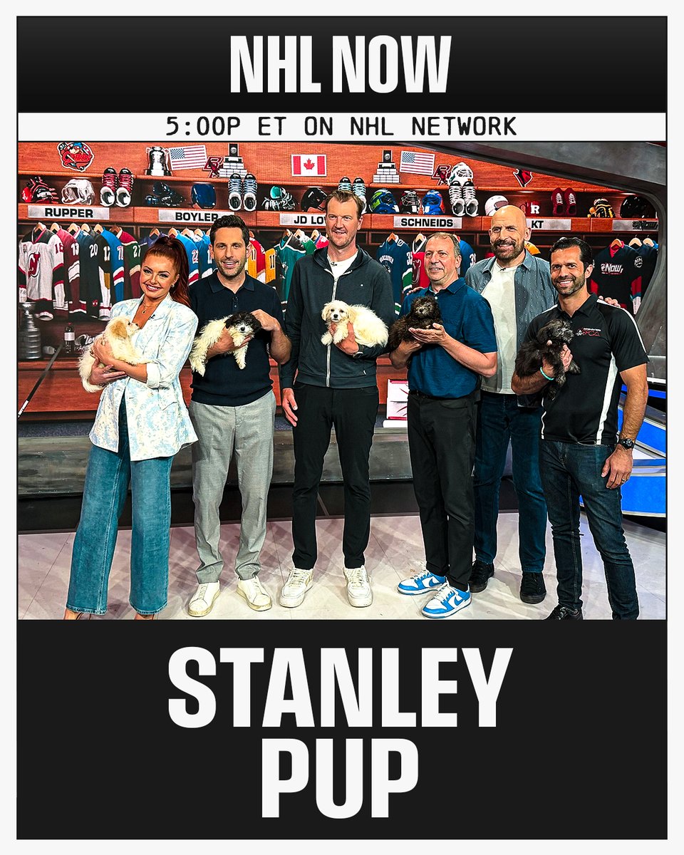 NHLMedia's tweet photo. Join us on #NHLNow at 5p ET for a preview of this year's Stanley Pup! 🐶 https://t.co/CfgXDEW0xY