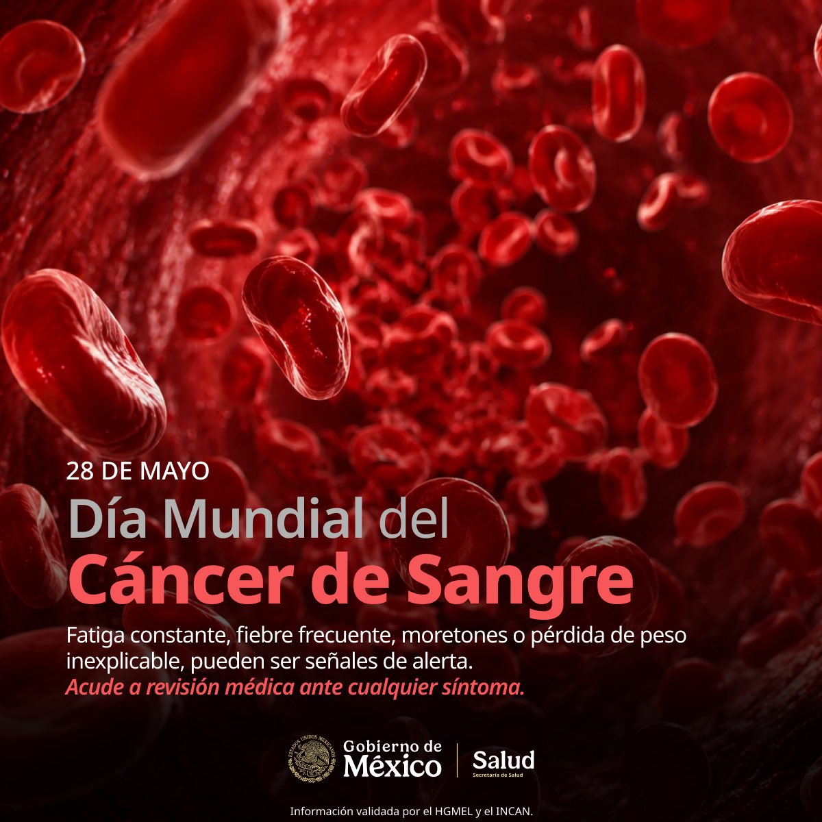 SSalud_mx's tweet photo. 28 de Mayo | Día Mundial del Cáncer de Sangre

Este tipo de cáncer comprende diversas enfermedades que afectan la sangre, la médula ósea y el sistema linfático, como la leucemia, el linfoma y el mieloma múltiple. 🩺

En este día reconocemos la fortaleza de quienes viven con alguno de estos padecimientos, la labor del personal de salud y la importancia de la investigación científica para lograr diagnósticos oportunos y mejores tratamientos. 

Cada avance, cada diagnóstico temprano y cada gesto de apoyo cuenta.