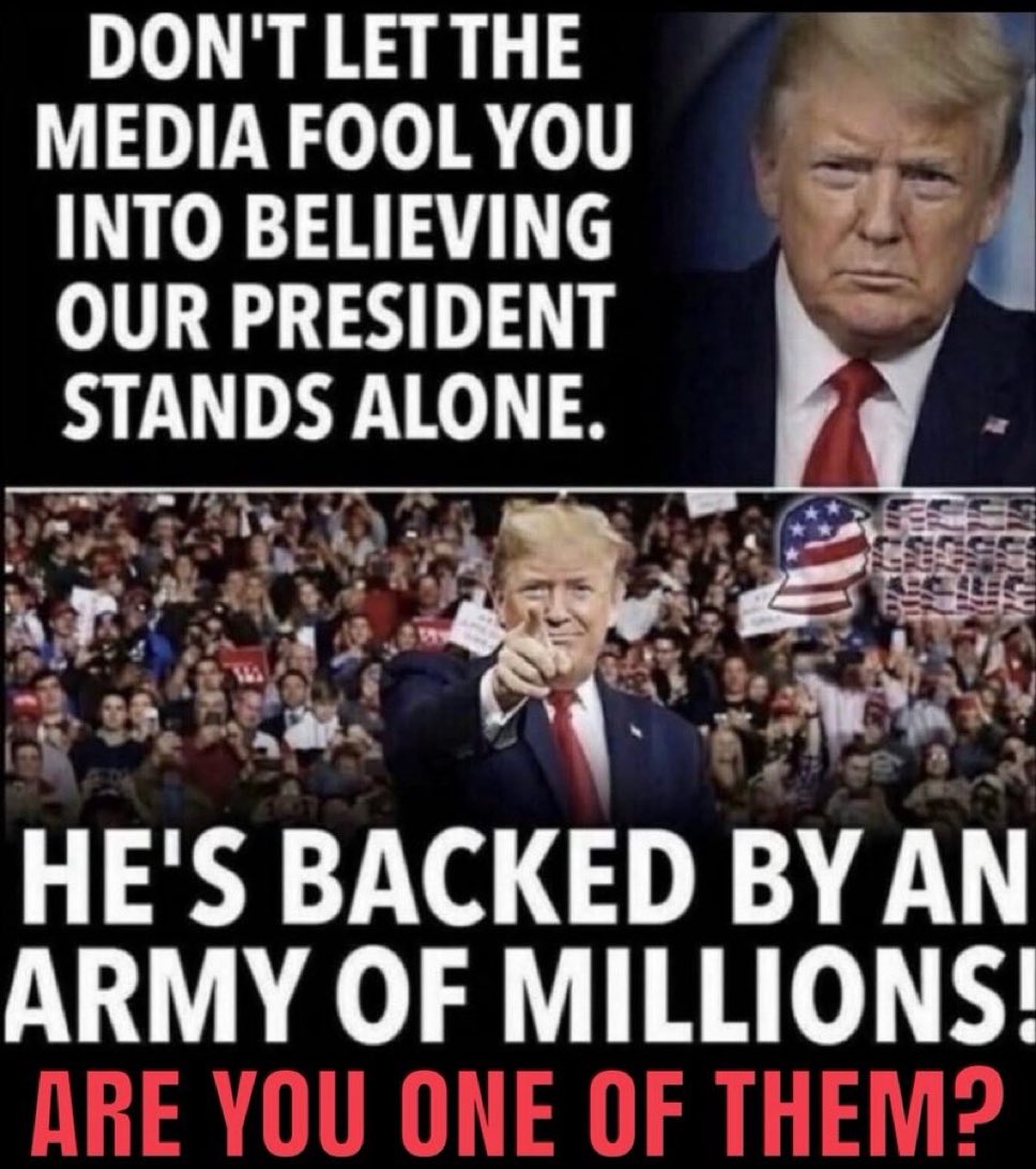 Proud Elephant 🇺🇸🦅 tweet media
