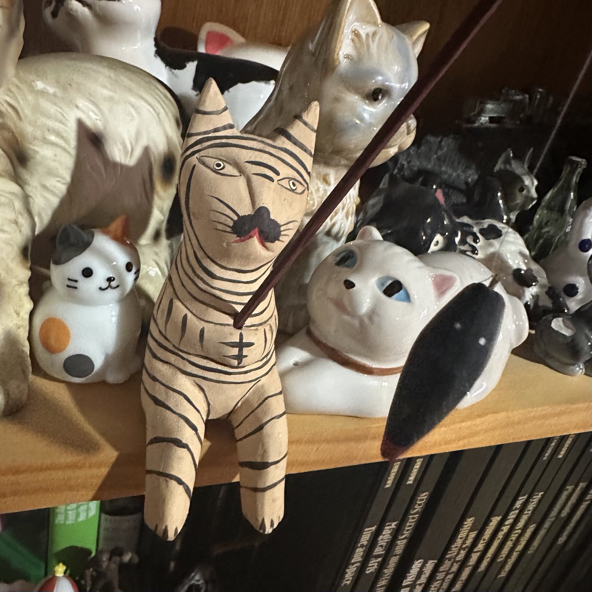 Nyazsche's tweet photo. Whenever I find a really ugly looking cat I feel morally obligated to buy it. https://t.co/FDISJP0MB4