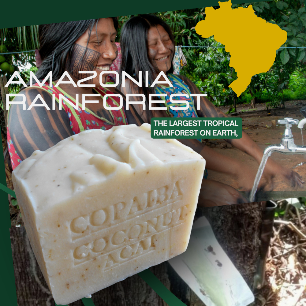 handmade_soap's tweet photo. .Copaiba making it an excellent choice for sensitive or irritated skin. https://t.co/p5Wu1hFKAH Artisanal options combine Brazilian Copaiba oil w/ moisturizing ingredients like coconut milk  &amp; shea butter. You can explore and buy these  explore other varieties on Etsy. #Brazil 🇧🇷 https://t.co/KWWO85fFON