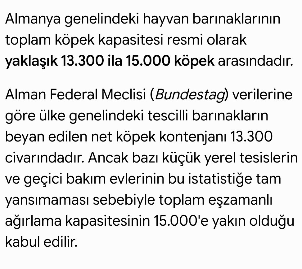 Başıboş Köpek Tehlikesi tweet media