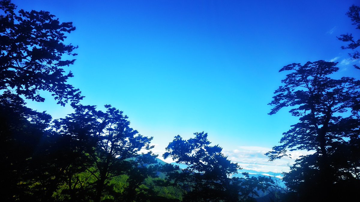 Cocosss167's tweet photo. https://t.co/MsBSZyQrJC