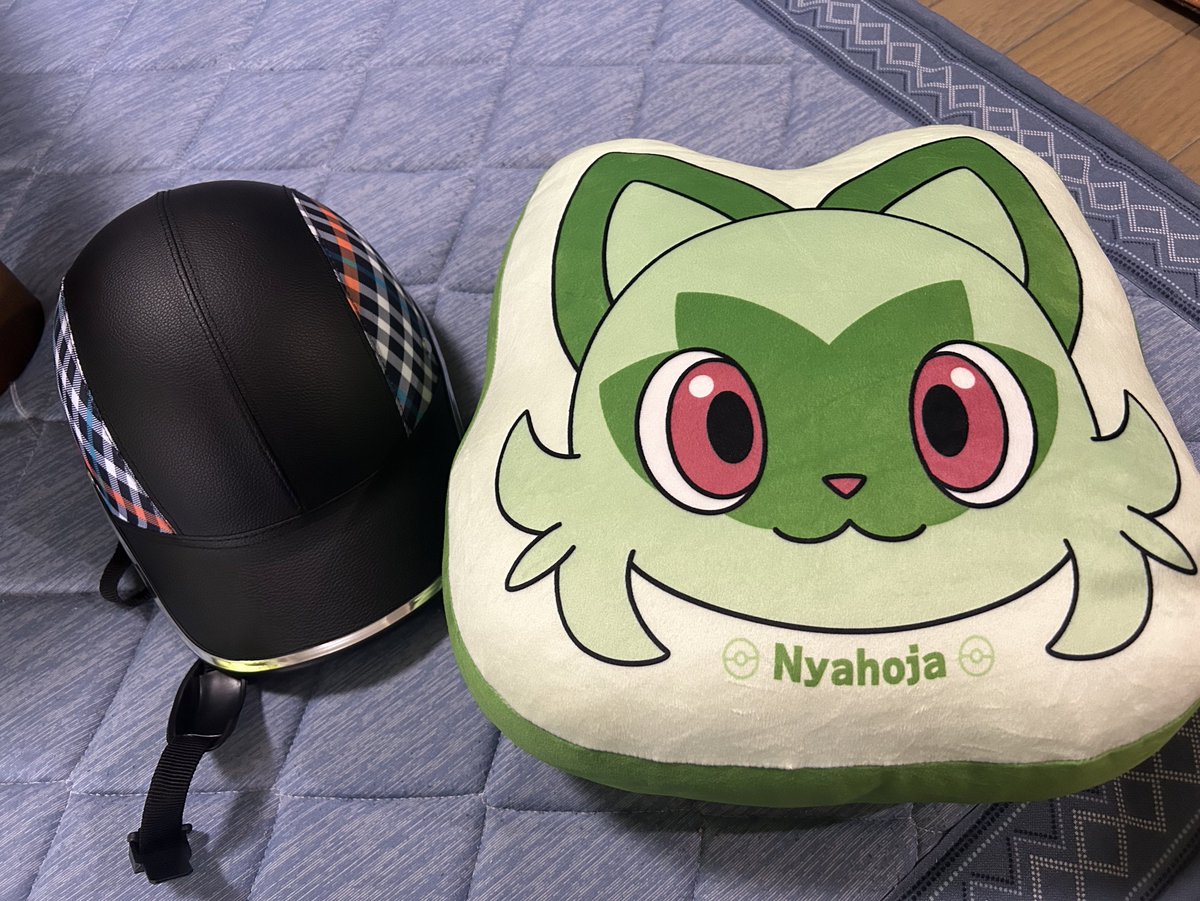 drst_86's tweet photo. お誕生日プレゼント(欲しいものリスト)のやつ届きました！
自転車ヘルメットとニャオハクッション！
買ってくれた方ありがとうございました！ https://t.co/1HIWxl7QNi