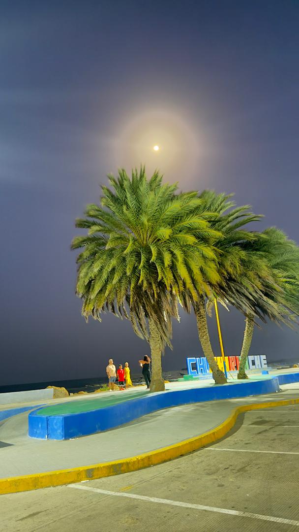 Joe Soteldo Beach 🌊 tweet media