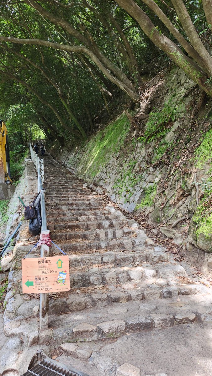 nanami_eiko's tweet photo. 先日、兵庫県にある『#布引の滝』を見に行ってきました。普通、滝なんて交通アクセスが悪いのに、ここはJR新神戸駅から徒歩数分で渓谷美を堪能できるんですよ✨ https://t.co/vcZU3Bghr5