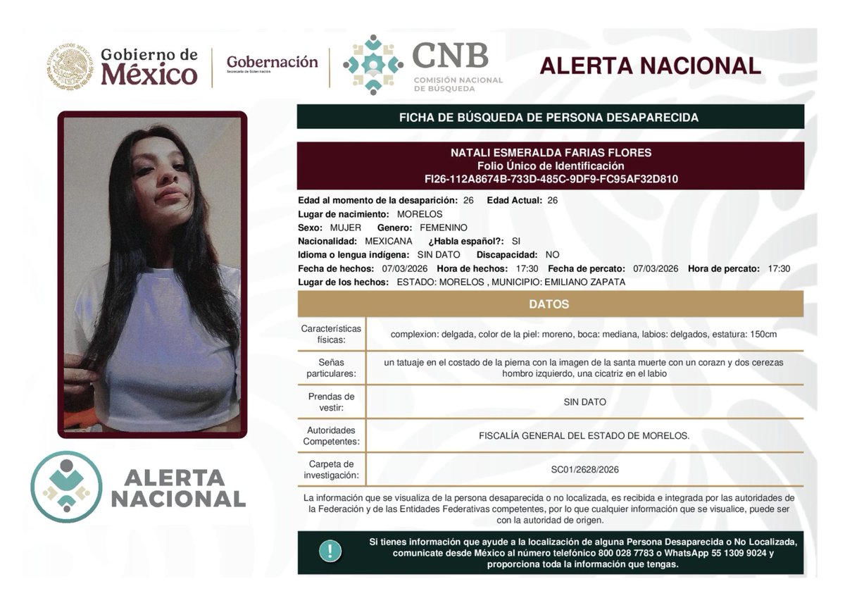 Reporte Mx Noticias tweet media