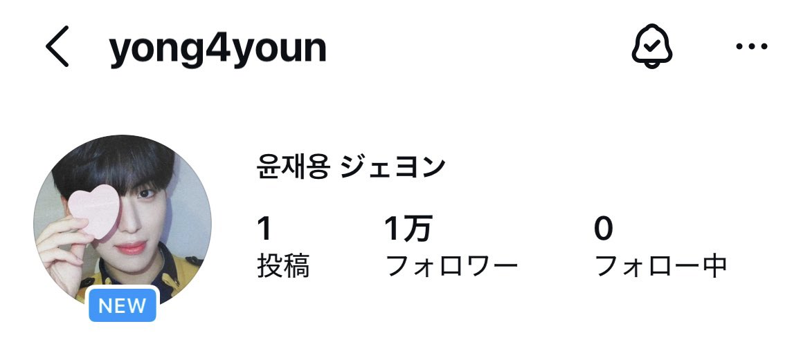 🥟 tweet media