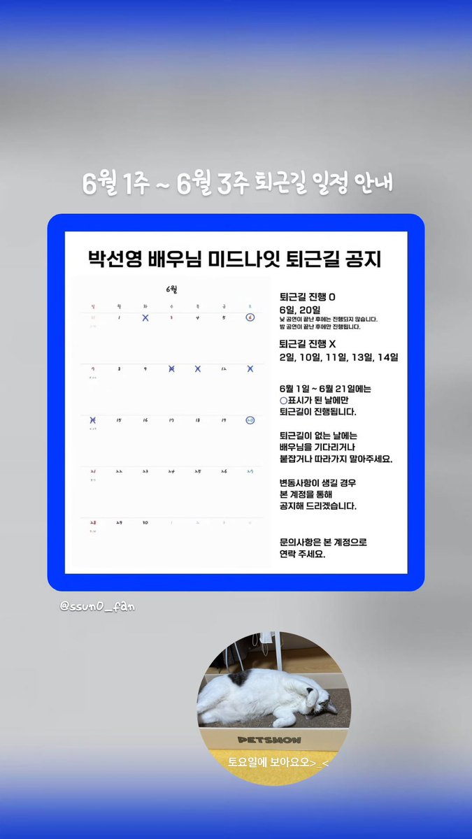 박선영 아카이브 tweet media