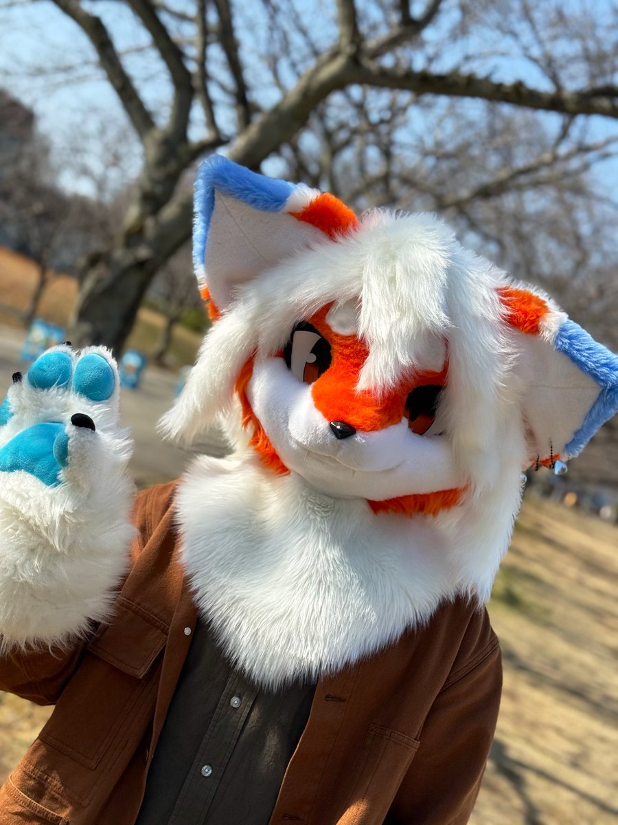 鑠琵(tobi｜とび) tweet media
