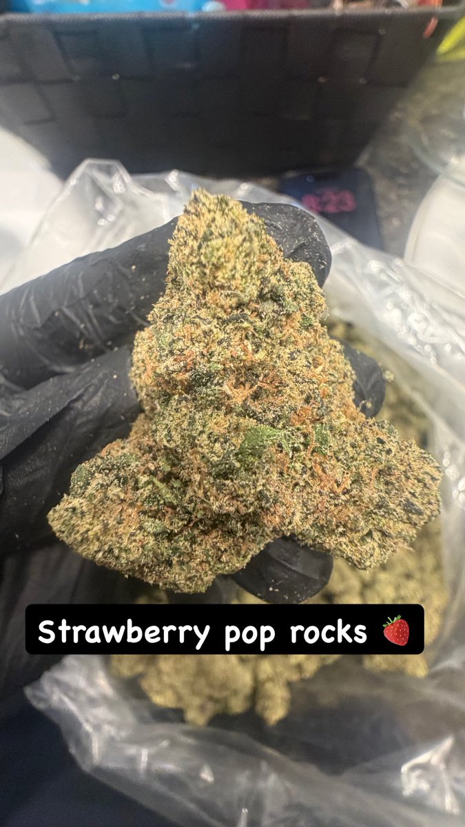 nutdonors's tweet photo. Houston plug  
3.5/25
7/50
14/100
28/150
+3466249982
#houstonplug #weed #houstonmeets #houston #deliver #houstonbestplug #zaza #springplug #cypressplug #katyplug #northsideplug #htxlinkup #htxsnow #drgtwt #htxdrugs https://t.co/9gQhfatU9d