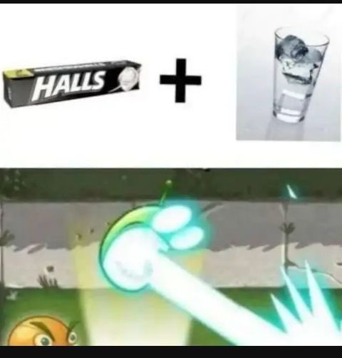 shitpostverdade's tweet photo. https://t.co/FeZGJaUPbq