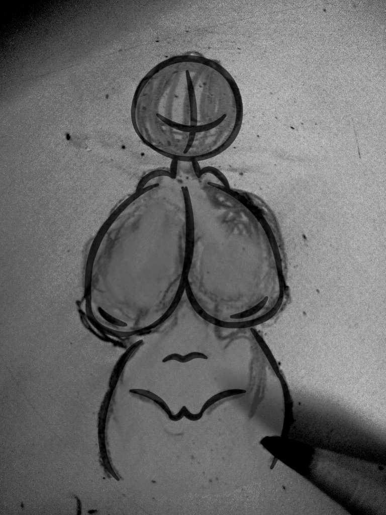 BunnyCake tweet media