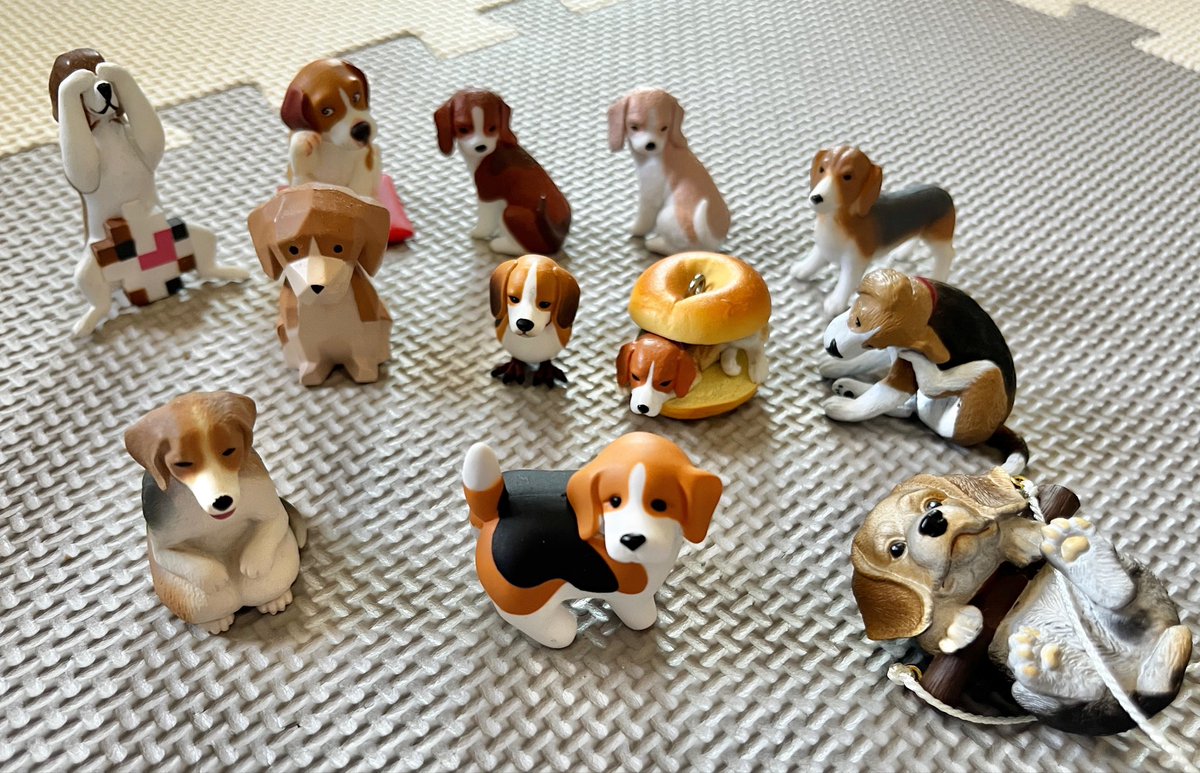 chocola0605's tweet photo. 数年間集めているビーグルガチャ！マイナーそうな犬種に見えて意外とガチャで出てくれるからうれしい✨ https://t.co/IcOTZY5mVC