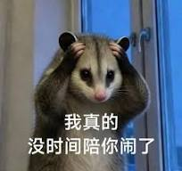 PANewsLab's tweet photo. 原以为2025年加密货币已经够惨了

直到我呆到了2026年 https://t.co/LsenDid9tH