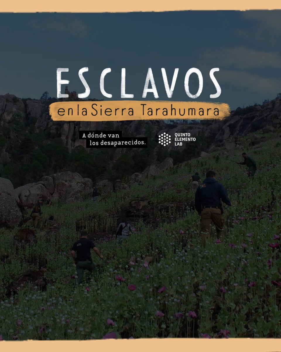 DesaparecerEnMx's tweet photo. ⚠️| Javier pasó casi tres años esclavizado en un campamento de trabajo forzado en la Sierra Tarahumara, en Chihuahua.

Rezaba a San Judas para poder escapar.
El día que la policía llegó al lugar, pensó que iba a morir.
No creía que fuera un rescate. 

Te invitamos a leer #EsclavosEnLaSierra, reportaje de @quintoelab y @DesaparecerEnMx 
▶️https://t.co/uqgVwKlZOP
