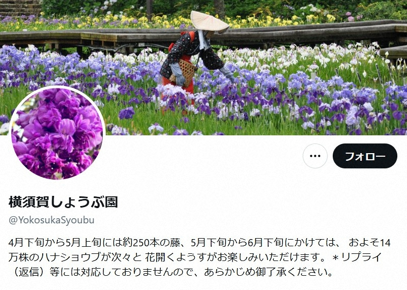 ライブドアニュース tweet media