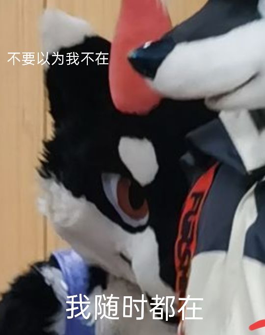chenchen_dragon's tweet photo. #FursuitFriday https://t.co/NX7u3B9vct
