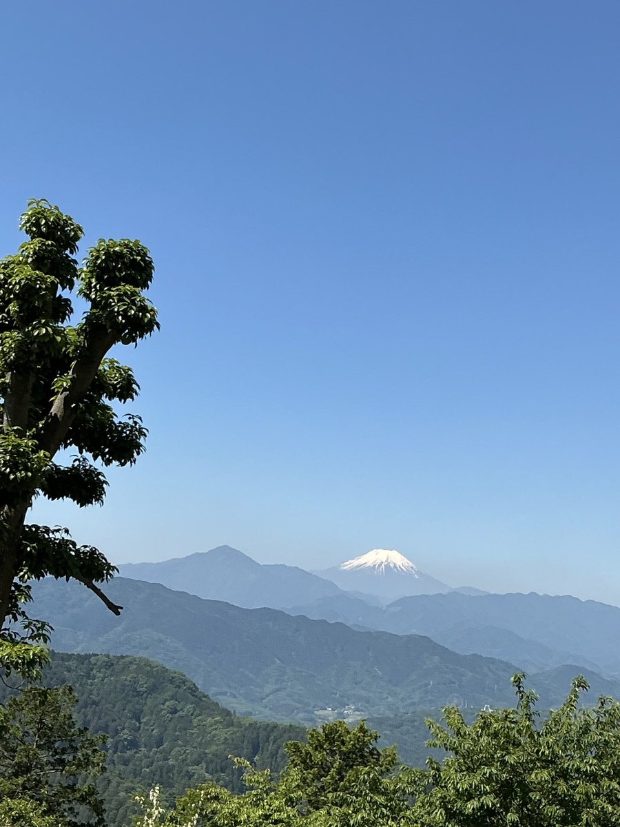 creotop1's tweet photo. 先日、高尾山へ行きました(ヘタレなので、往復リフトで)。頂上付近では、クマバチが頭の上をブンブン飛んでいました。
ごめん、クマバチ。あなたに困っている人のための対策はこちらだよ。
https://t.co/AvGfZlwfpe
#高尾山
#クマバチ
#蜂 https://t.co/nDKdZkpr1i