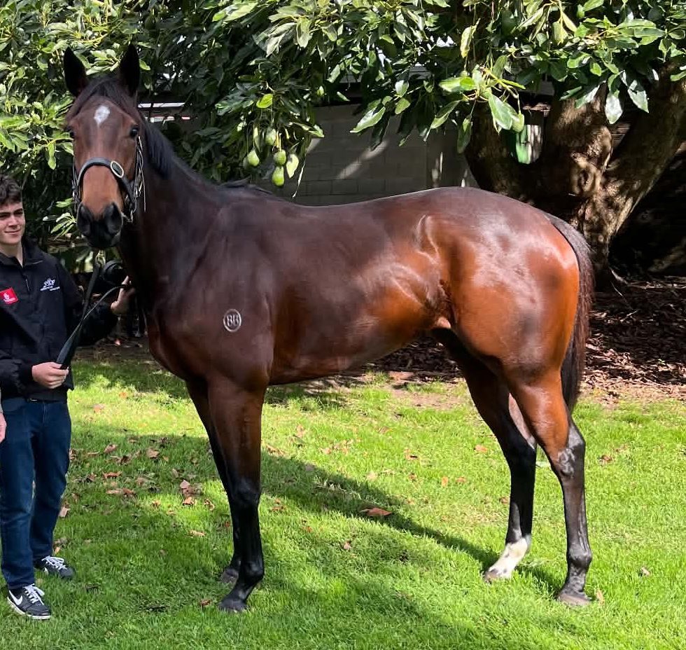 BAXLTD's tweet photo. GIRLZGIRLZGIRLZ ready for her debut in R5 at Tauranga. Our ladies syndicate ! https://t.co/3CEx4YWXZe
