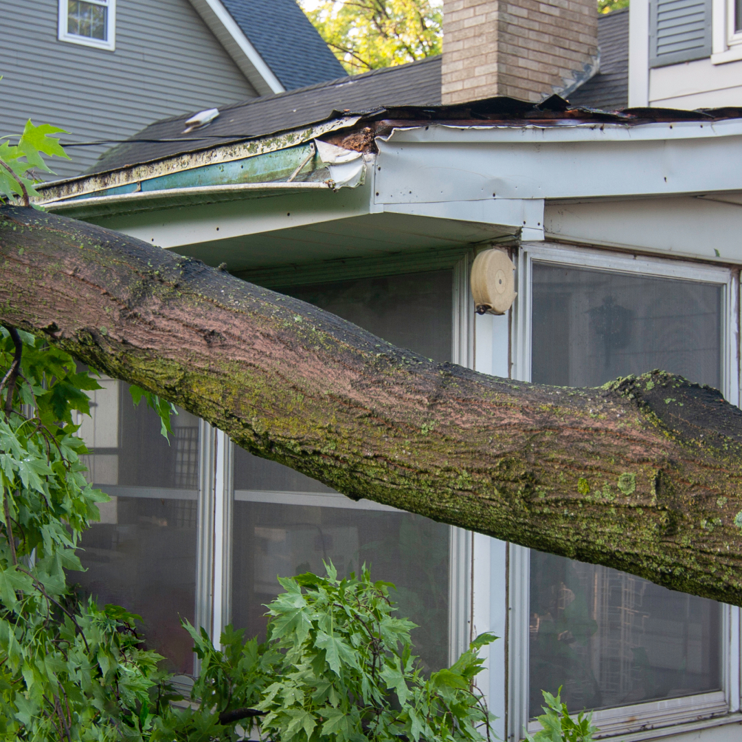 WareInsAgency's tweet photo. Filing a home or car insurance claim? Always document the damage with photos and written details. Then contact our award-winning Farmers® Claims Services (24/7/365). They’ll walk you through the rest. https://t.co/lcNk3aLFvj