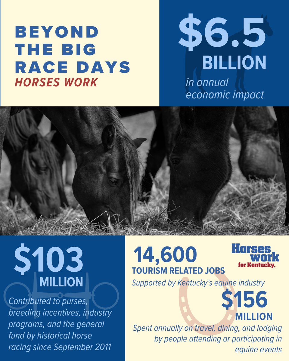 horseswork's tweet photo. Big race days may grab the headlines, but Kentucky’s equine industry creates a year-round impact by supporting 14,600 tourism-related jobs and generating millions in travel and hospitality spending across the Commonwealth.

 #horseswork https://t.co/WGo0n3l4OW