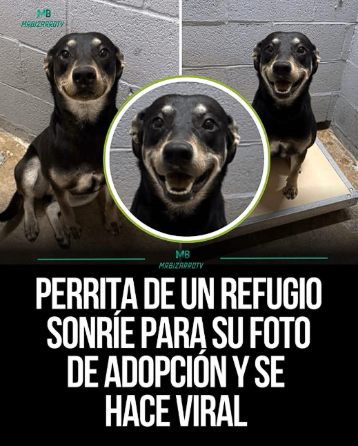 Mario Hernandorena tweet media
