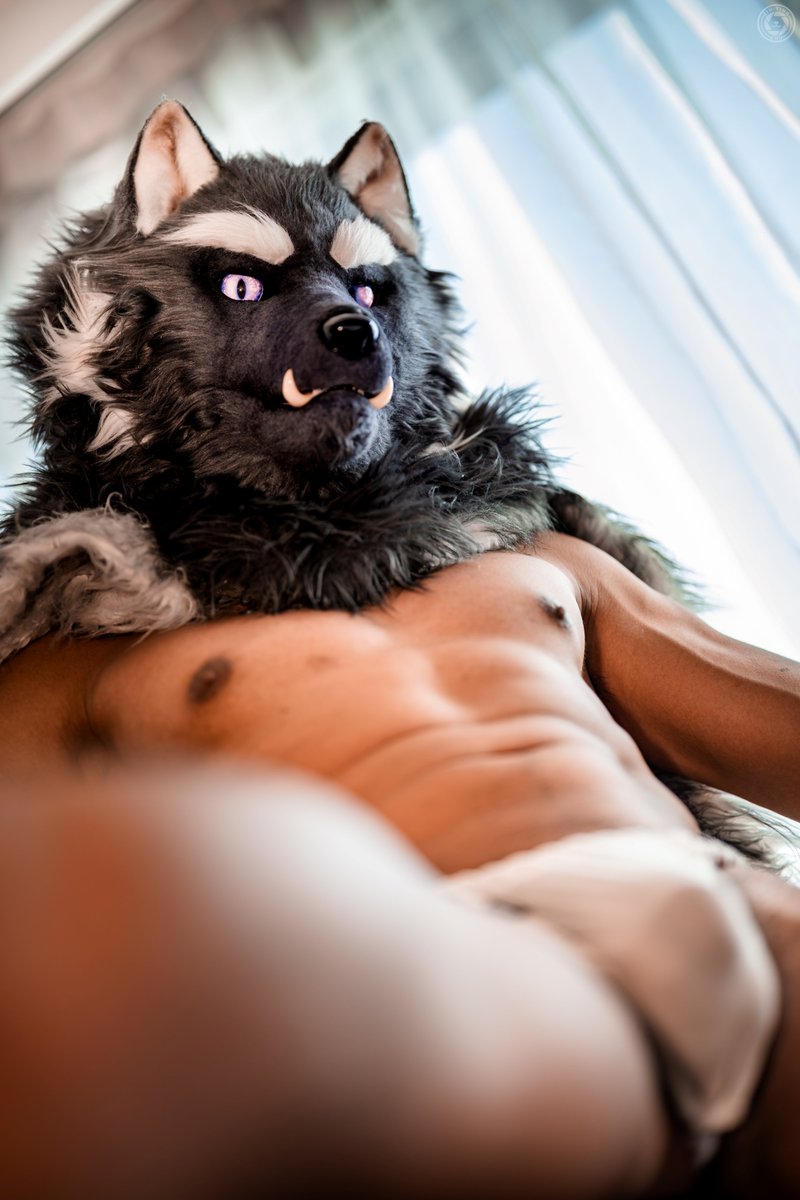 Constrictorz's tweet photo. Are you going to just stare?
📷 @BrutusChu 
#furry #muscle https://t.co/M9iog1fVA8