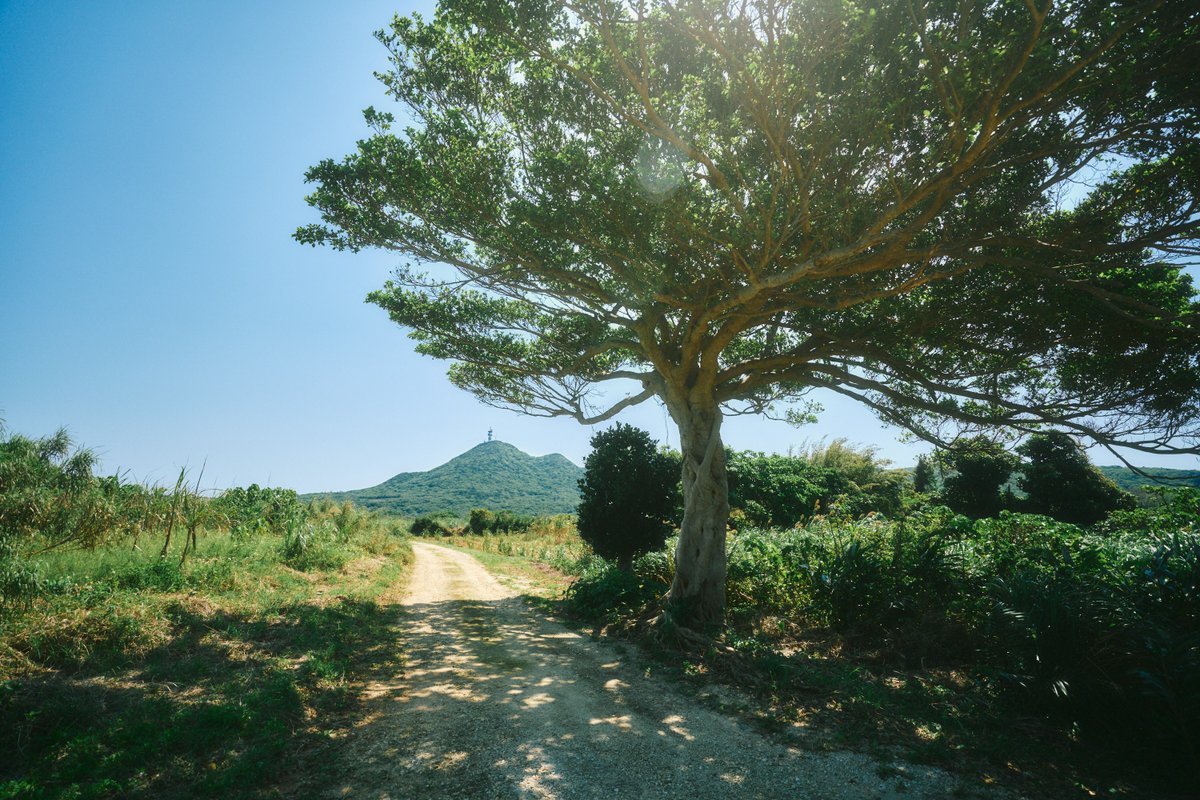 shintake_photo's tweet photo. Countryside scenes in Japan. https://t.co/XjkUbKBTGM