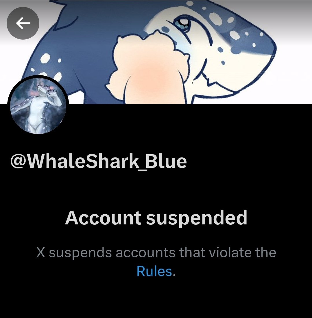Blizly 🦈 💙 tweet media