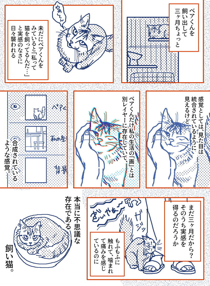 飼っている猫が、私の家で生きている感覚 
