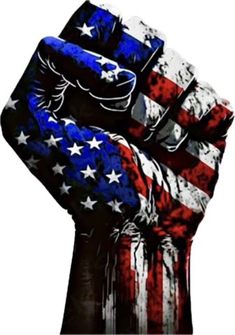 NoDMsPerfavore's tweet photo. I wasn't always so political But then...

You came after God, my children, my country, and my freedom.

So here we are… https://t.co/Z9KG1QRLtQ