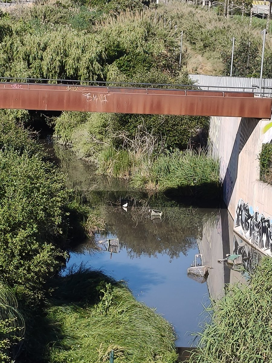 l_salva's tweet photo. Bon dia @ViladecansTweet 
Podeu avisar el departament corresponent encarregat del manteniment i la neteja d’aquest espai, just al costat de l’Outlet de Viladecans?
@ParcsplatgesAMB @espaipublicAMB @sostAMB 
L’estat actual dona molt mala imatge a la ciutat i al turisme, i a més contribueix a la contaminació del medi ambient. 
Hi ha deixalles i objectes abandonats dins de la riera que haurien de retirar-se al més aviat possible.
#Viladecans