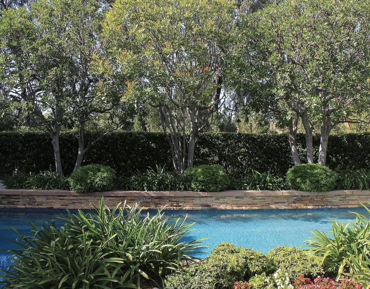 LuisCasasTree's tweet photo. For a fully manicured, lush garden and landscape give us a call 📞(818)618-4964 l (818)618-7709 

Free Estimates
Residential &amp; Commercial

Lic#911437
Arborist#WE9157A

.
.
.

#LuisCasasTreeService #Landscaping #LawnService #LandscapeContractor #LawnMaintenance #LawnCare https://t.co/KiPh0nX8Hg