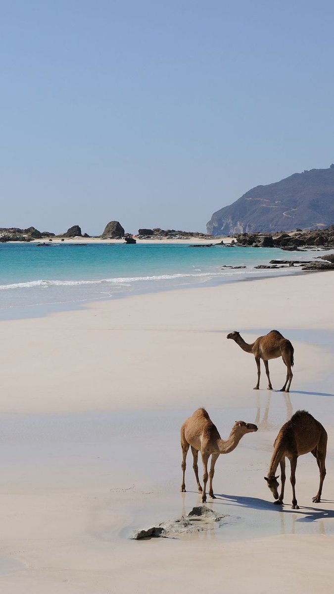 aseelswaid9's tweet photo. Oman https://t.co/8E4rBGYo4a