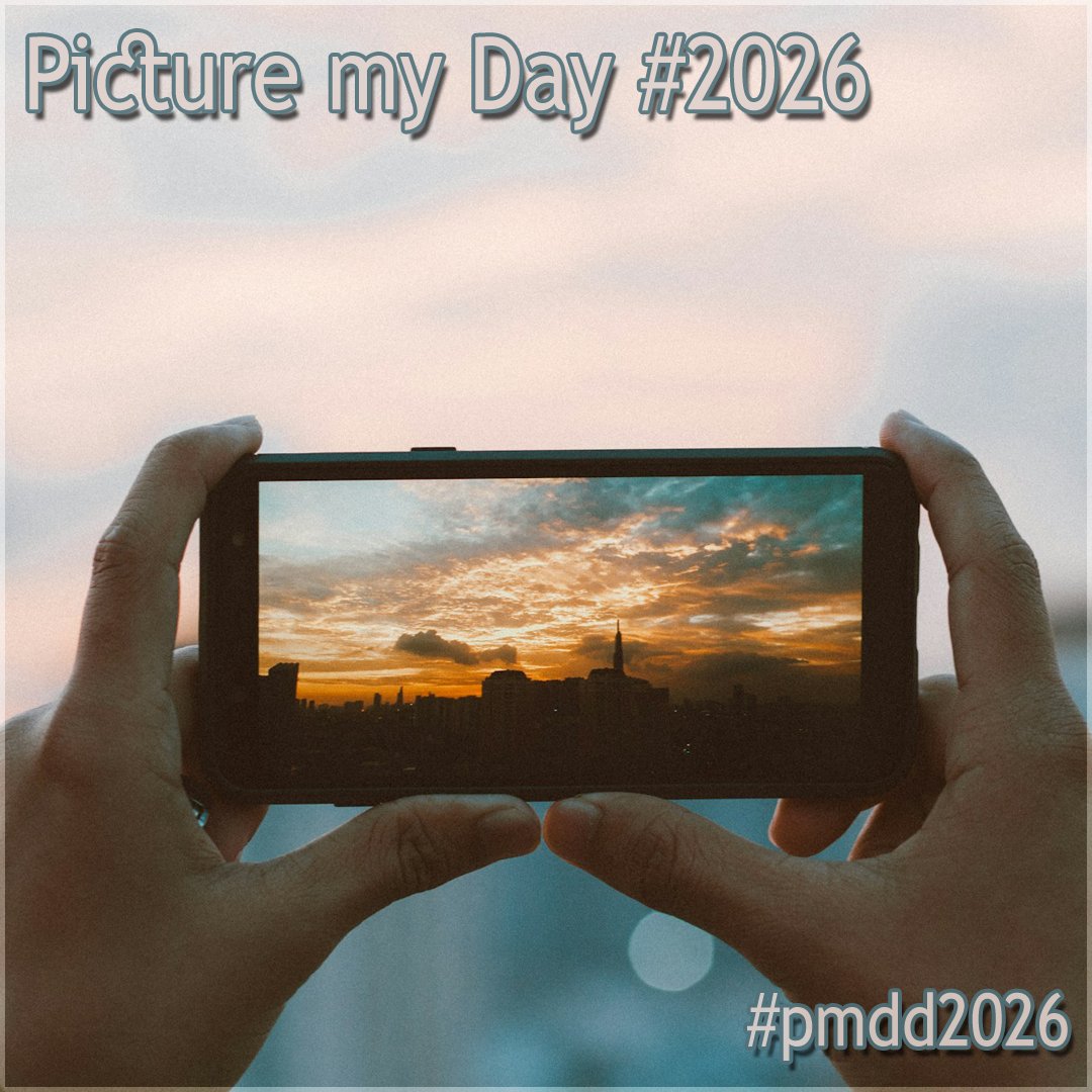 ShirisuSession's tweet photo. Hier folgt mein Thread zum  #pmdd2026 im MAI 2026 ✨

@PictureMyDayDay https://t.co/Z2C7EQkkHJ