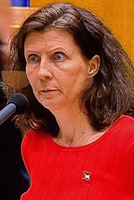 Mieke van Agtmael PATRIOT tweet media