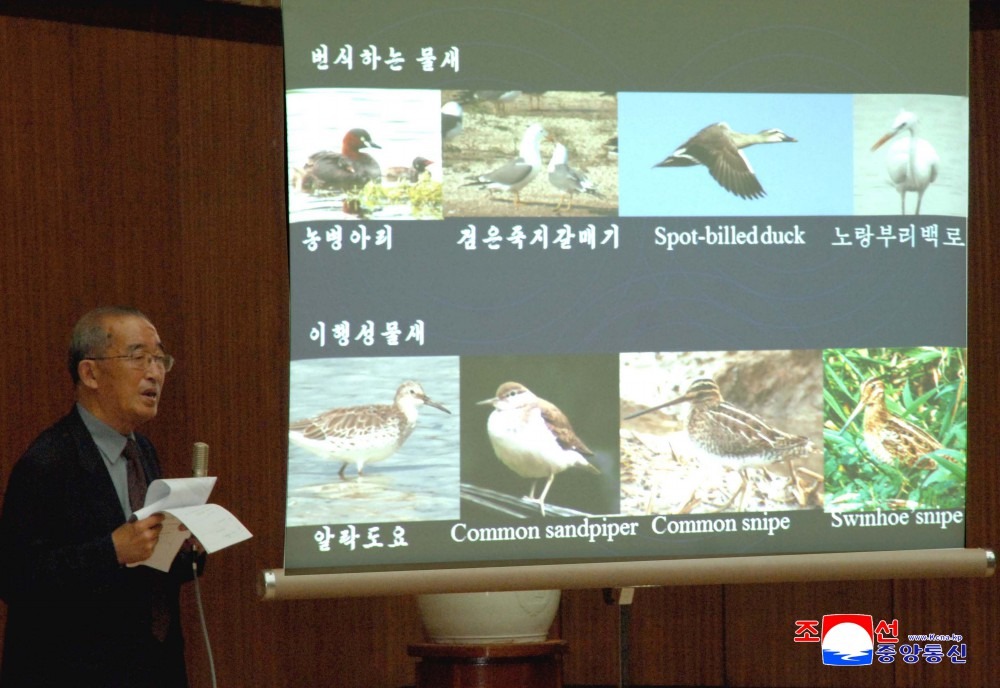 kimileyegenleri's tweet photo. Kapitalistler kar hırsıyla doğayı sömürürken, KDHC onu korumak için gösterdiği çabayla dikkat çekiyor. 
Whilst capitalists exploit nature in their greed for profit, the DPRK is drawing attention for its efforts to protect it. https://t.co/tkUiqtFfBw